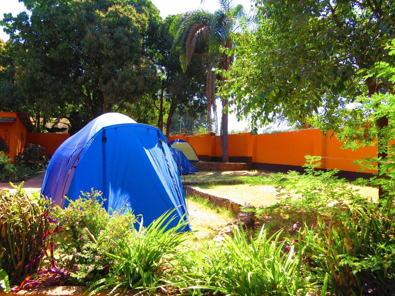 Jollyboys Backpackers Hostel Λίβινγκστον Εξωτερικό φωτογραφία