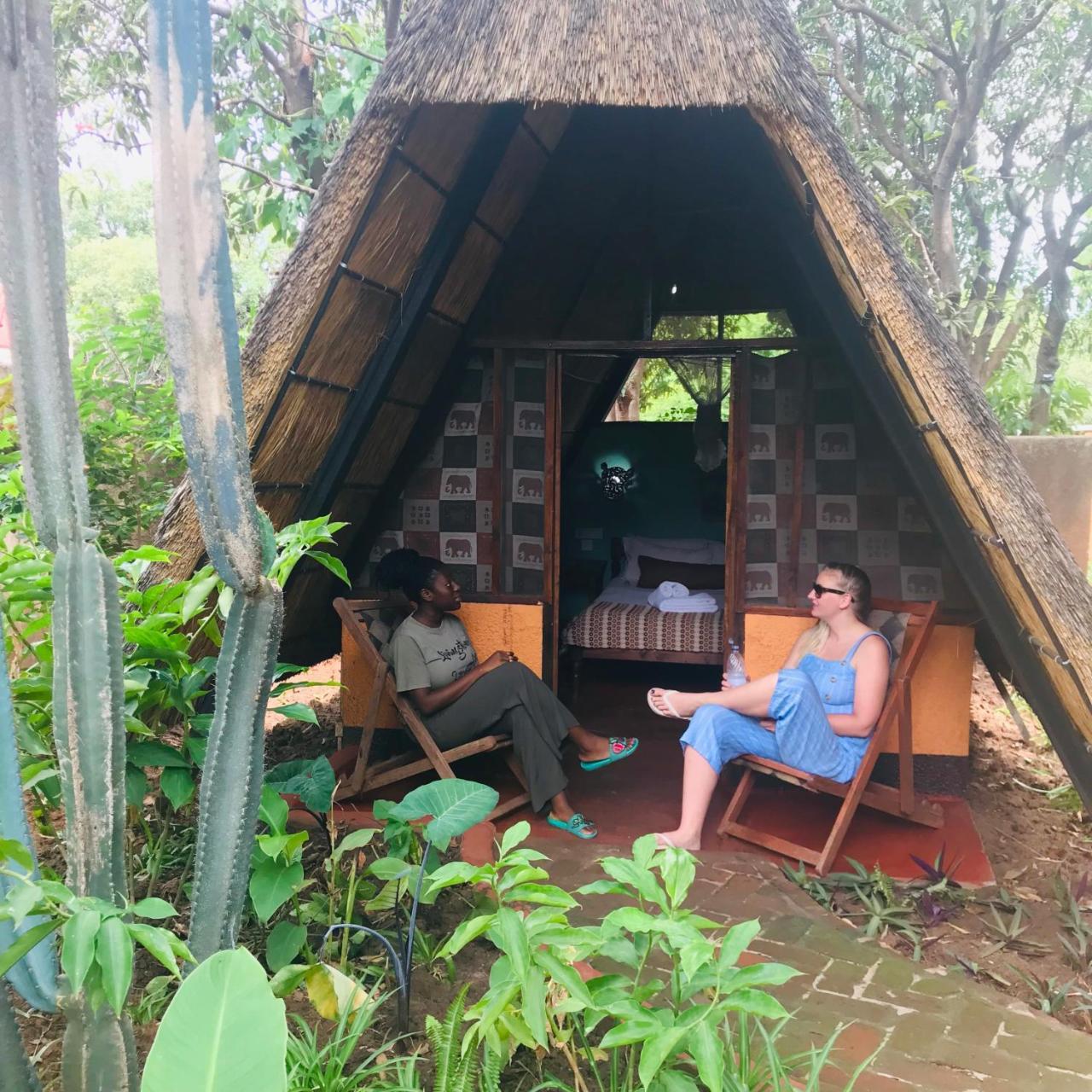 Jollyboys Backpackers Hostel Λίβινγκστον Εξωτερικό φωτογραφία